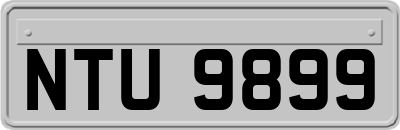 NTU9899