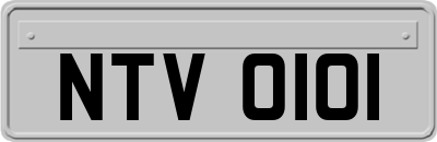 NTV0101
