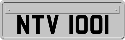 NTV1001