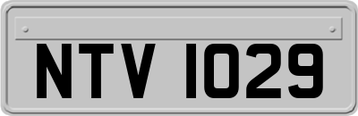 NTV1029