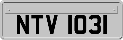 NTV1031