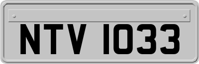 NTV1033