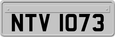 NTV1073