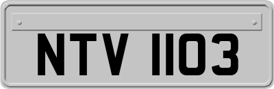 NTV1103
