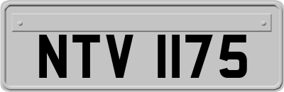 NTV1175