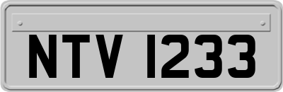 NTV1233