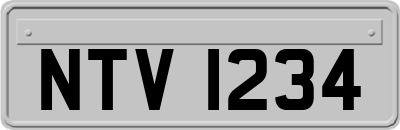 NTV1234
