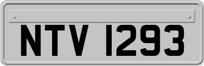 NTV1293