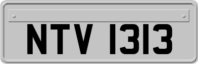 NTV1313