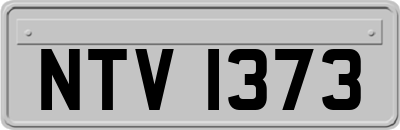 NTV1373