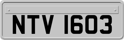 NTV1603