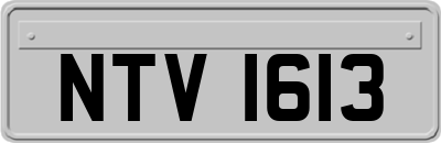 NTV1613