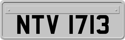 NTV1713