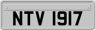 NTV1917