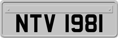 NTV1981