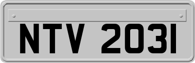NTV2031