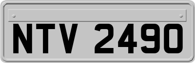 NTV2490