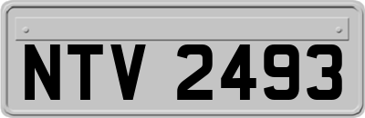 NTV2493