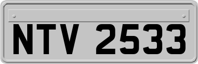 NTV2533