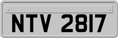 NTV2817