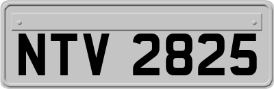 NTV2825