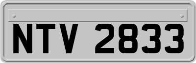 NTV2833