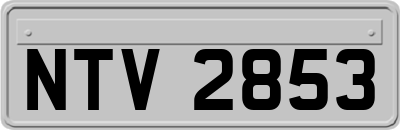 NTV2853