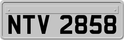 NTV2858