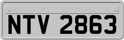 NTV2863