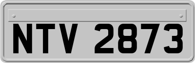 NTV2873