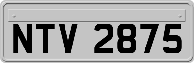 NTV2875