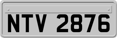 NTV2876