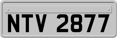 NTV2877