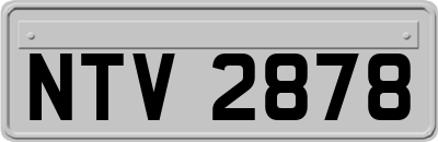 NTV2878