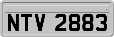 NTV2883