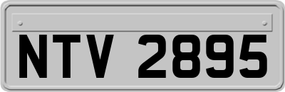 NTV2895