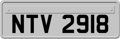 NTV2918