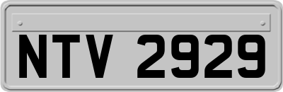 NTV2929