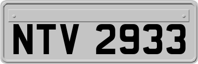 NTV2933