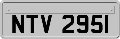 NTV2951