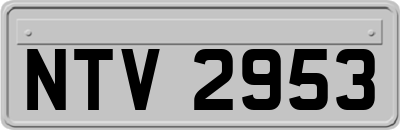 NTV2953