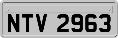 NTV2963