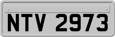 NTV2973