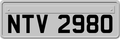 NTV2980