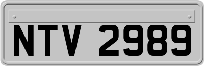 NTV2989