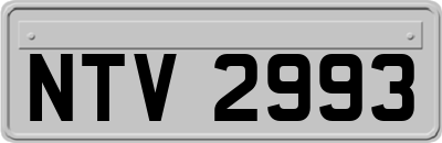 NTV2993