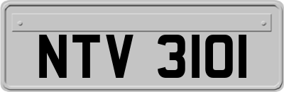 NTV3101