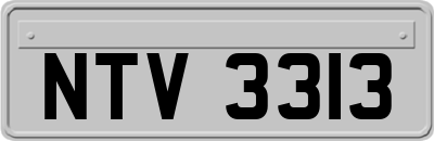 NTV3313
