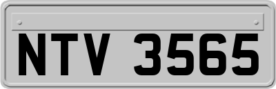 NTV3565