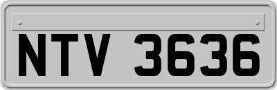 NTV3636